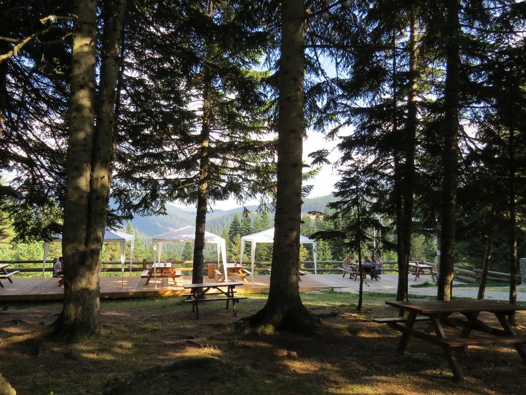 Jura Hotels Ilgaz Mountain Resort Εξωτερικό φωτογραφία