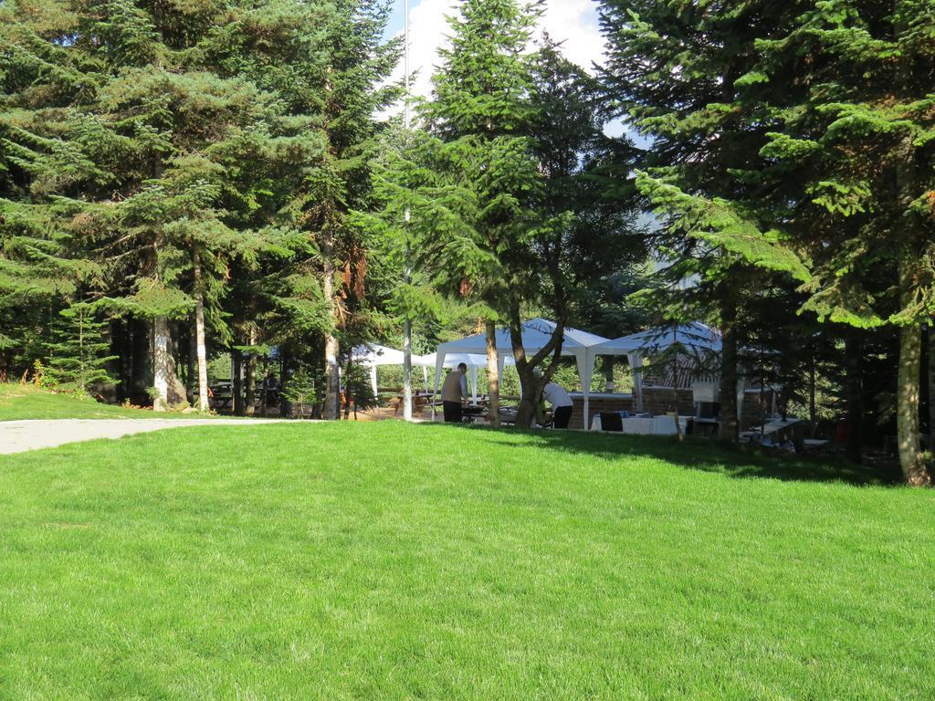 Jura Hotels Ilgaz Mountain Resort Εξωτερικό φωτογραφία