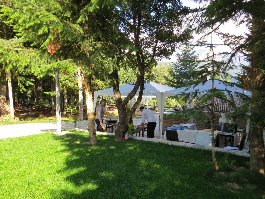 Jura Hotels Ilgaz Mountain Resort Εξωτερικό φωτογραφία