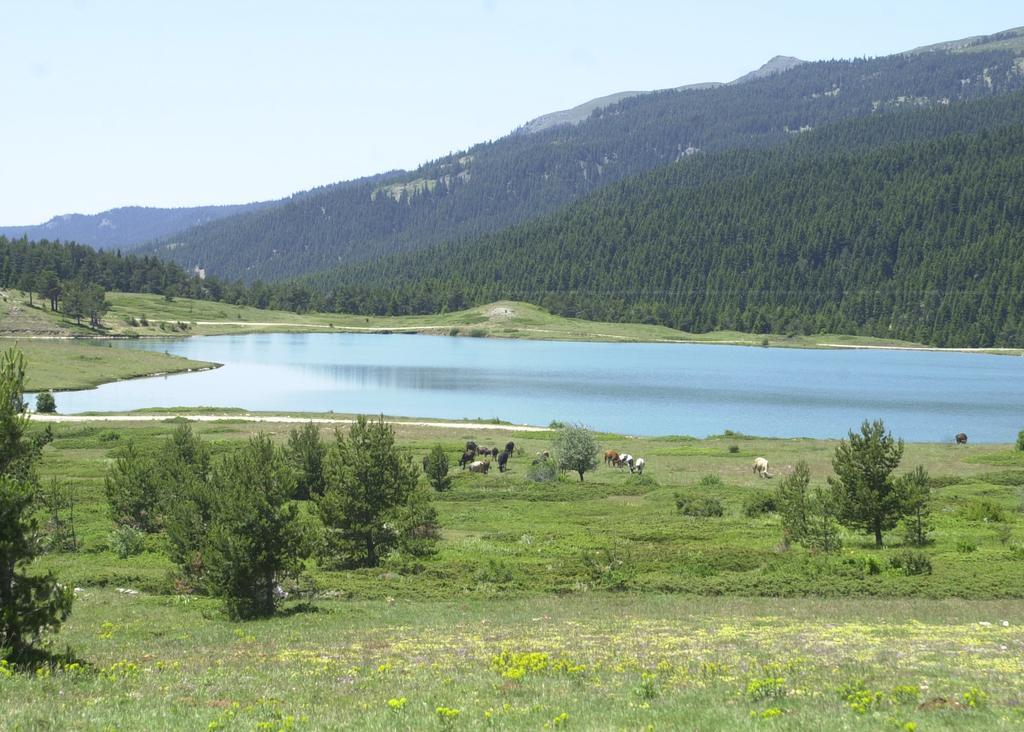 Jura Hotels Ilgaz Mountain Resort Εξωτερικό φωτογραφία