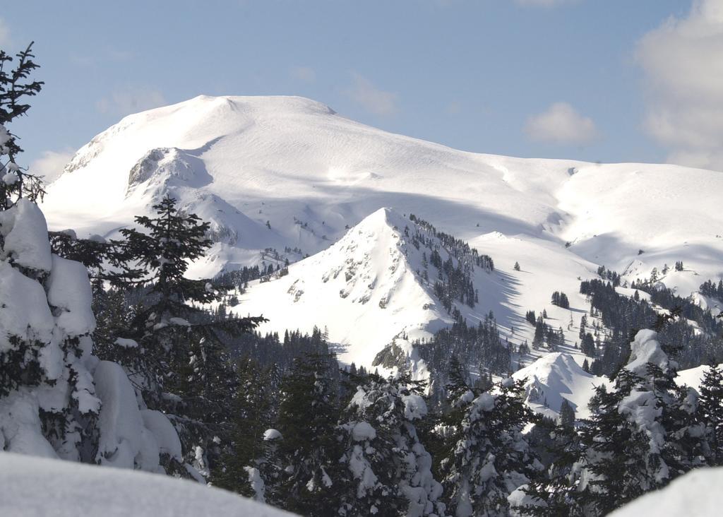Jura Hotels Ilgaz Mountain Resort Εξωτερικό φωτογραφία