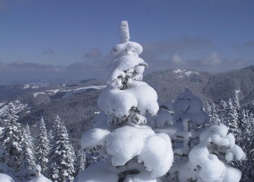 Jura Hotels Ilgaz Mountain Resort Εξωτερικό φωτογραφία