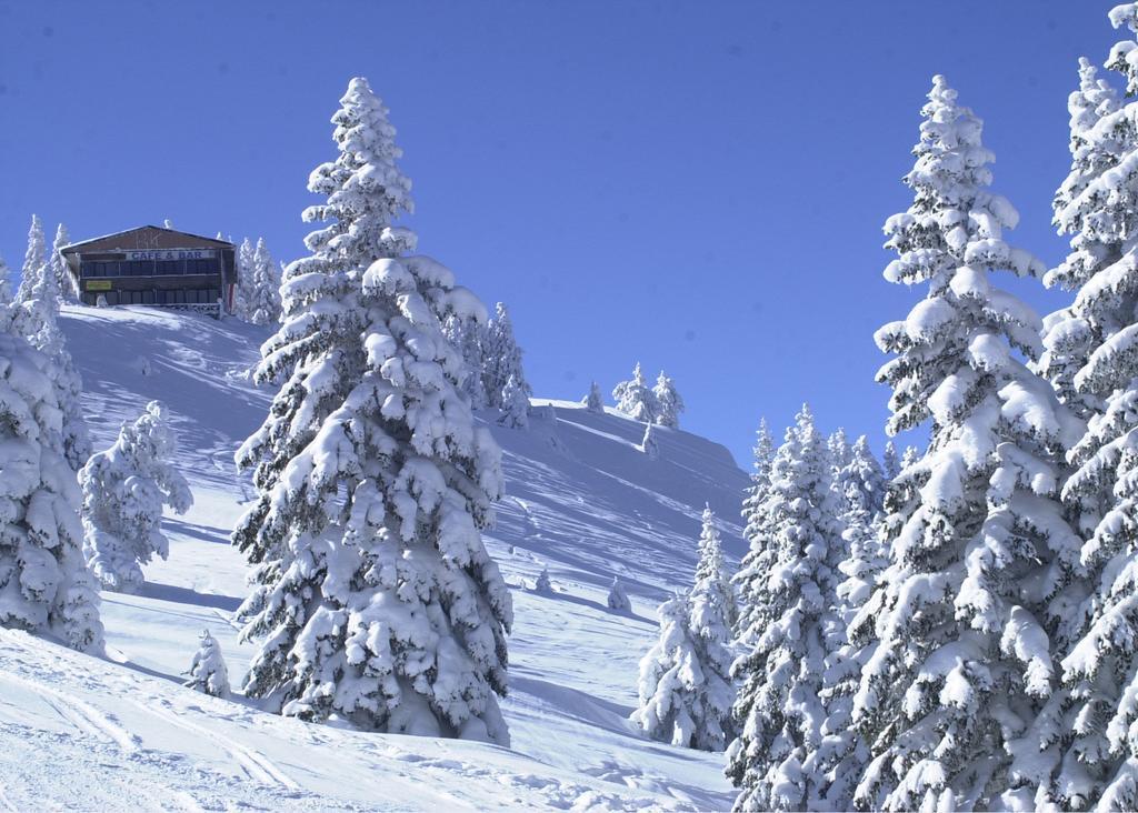 Jura Hotels Ilgaz Mountain Resort Εξωτερικό φωτογραφία