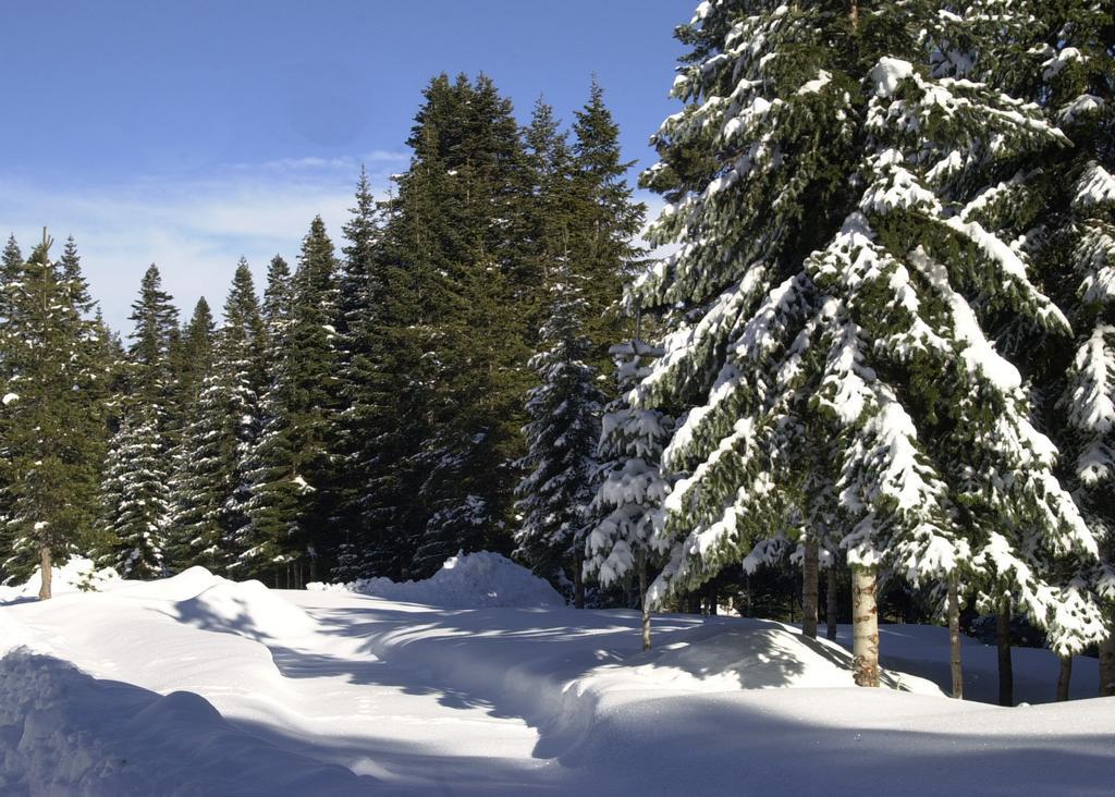 Jura Hotels Ilgaz Mountain Resort Εξωτερικό φωτογραφία