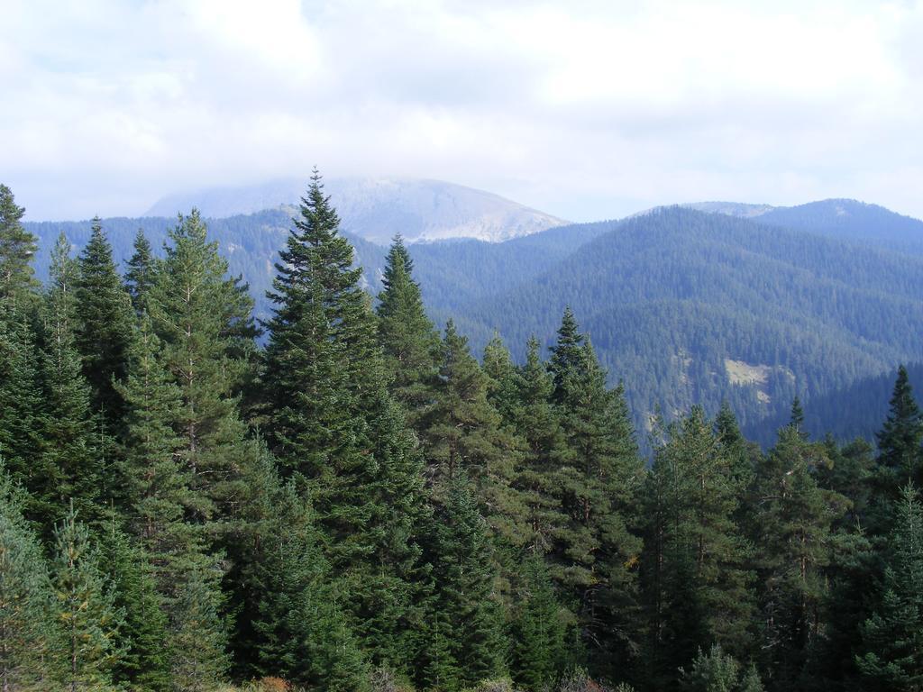 Jura Hotels Ilgaz Mountain Resort Εξωτερικό φωτογραφία